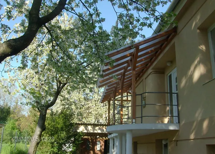Magnolia *