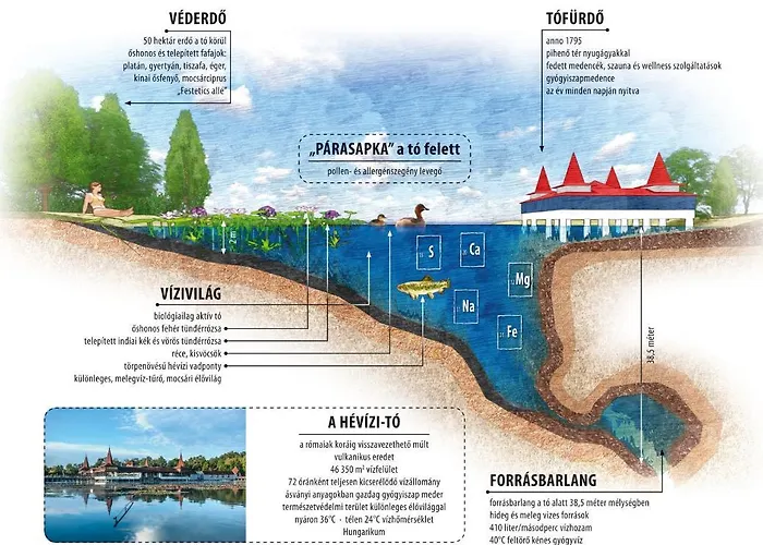 Magnolia アパート *
